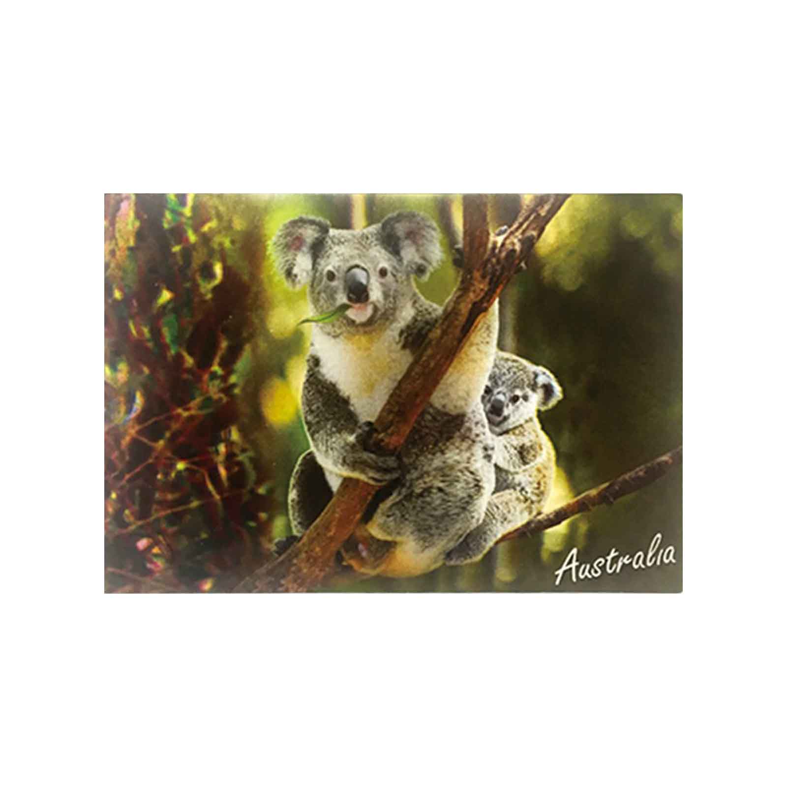 3d-Post-Card-Koala-Mum-And-Baby
